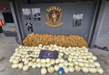 Template Colunistas – Yhuldes Giovani