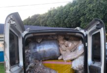 Template Colunistas – Yhuldes Giovani