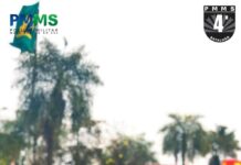 Template Colunistas – Yhuldes Giovani