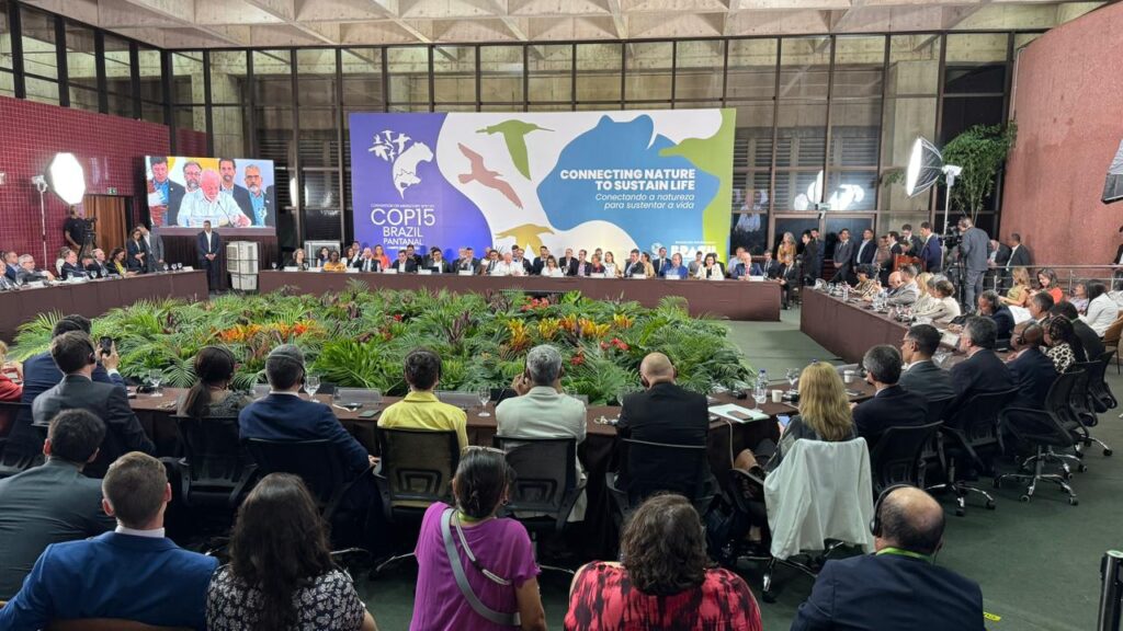 Paulo Corrêa participa de encontro de líderes mundiais da COP15 e homenageia presidente do Paraguai