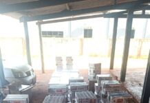 Template Colunistas – Yhuldes Giovani