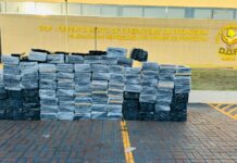 Template Colunistas – Yhuldes Giovani