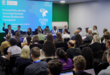 Template Colunistas – Yhuldes Giovani