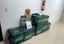 Template Colunistas – Yhuldes Giovani