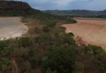 Template Colunistas – Yhuldes Giovani