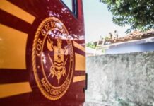 Template Colunistas – Yhuldes Giovani