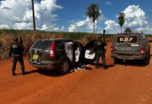 Template Colunistas – Yhuldes Giovani