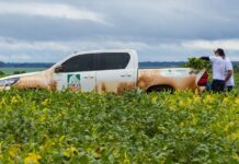 Template Colunistas – Yhuldes Giovani