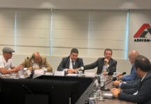 Template Colunistas – Yhuldes Giovani