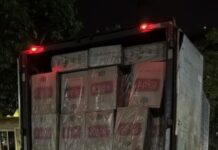 Template Colunistas – Yhuldes Giovani