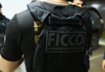 Template Colunistas – Yhuldes Giovani