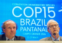 Template Colunistas – Yhuldes Giovani