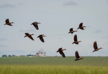 Template Colunistas – Yhuldes Giovani