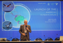 Template Colunistas – Yhuldes Giovani