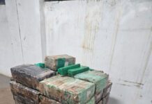 Template Colunistas – Yhuldes Giovani