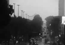 Template Colunistas – Yhuldes Giovani