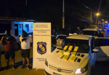 Template Colunistas – Yhuldes Giovani