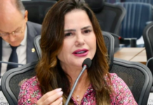 Template Colunistas – Yhuldes Giovani