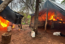 Template Colunistas – Yhuldes Giovani