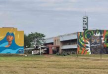 Template Colunistas – Yhuldes Giovani