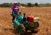 Template Colunistas – Yhuldes Giovani