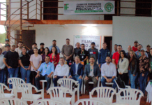 Template Colunistas – Yhuldes Giovani