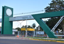 Template Colunistas – Yhuldes Giovani