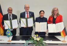 Template Colunistas – Yhuldes Giovani