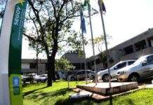 Template Colunistas – Yhuldes Giovani