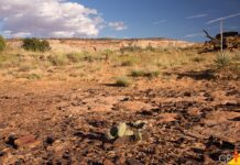 Template Colunistas – Yhuldes Giovani