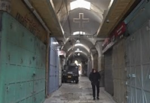 Template Colunistas – Yhuldes Giovani