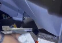 Template Colunistas – Yhuldes Giovani