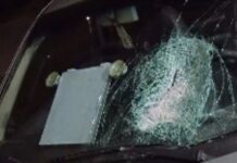 Template Colunistas – Yhuldes Giovani