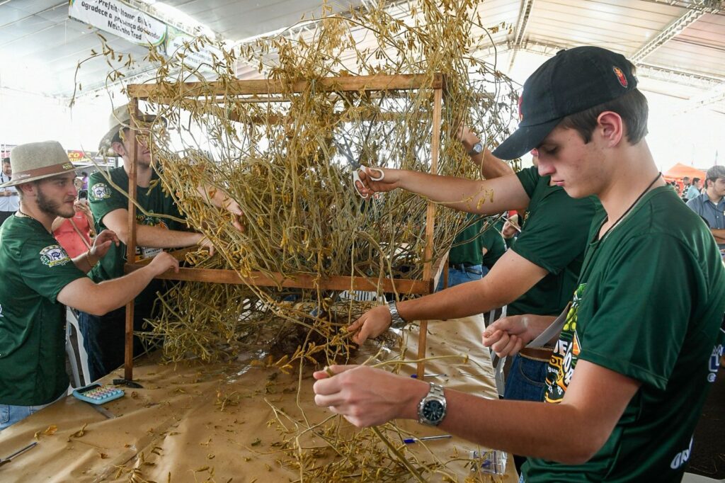 Festa do Pé de Soja Solteiro movimentou Laguna Carapã com tradição, tecnologia e safra em alta