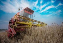 Template Colunistas – Yhuldes Giovani