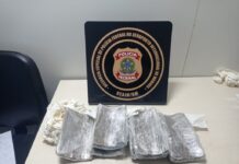 Template Colunistas – Yhuldes Giovani