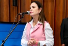 Template Colunistas – Yhuldes Giovani