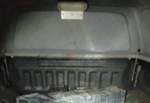 Template Colunistas – Yhuldes Giovani