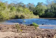 Template Colunistas – Yhuldes Giovani