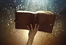 Template Colunistas – Yhuldes Giovani