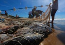 Template Colunistas – Yhuldes Giovani