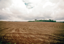 Template Colunistas – Yhuldes Giovani