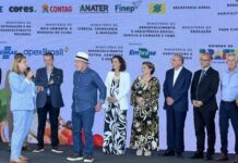 Template Colunistas – Yhuldes Giovani