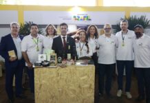 Template Colunistas – Yhuldes Giovani