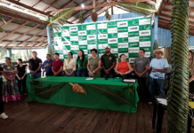 Template Colunistas – Yhuldes Giovani