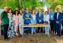 Template Colunistas – Yhuldes Giovani