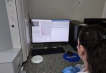 Template Colunistas – Yhuldes Giovani