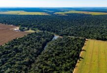 Template Colunistas – Yhuldes Giovani