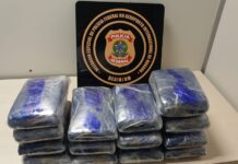 Template Colunistas – Yhuldes Giovani