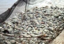 Template Colunistas – Yhuldes Giovani